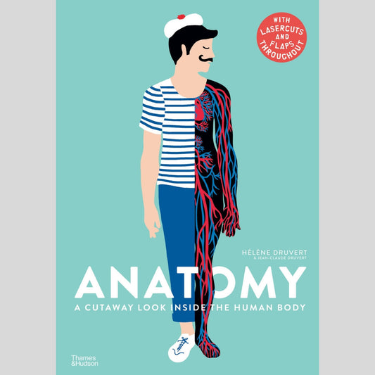 Anatomy - A Cutaway Look Inside the Human Body