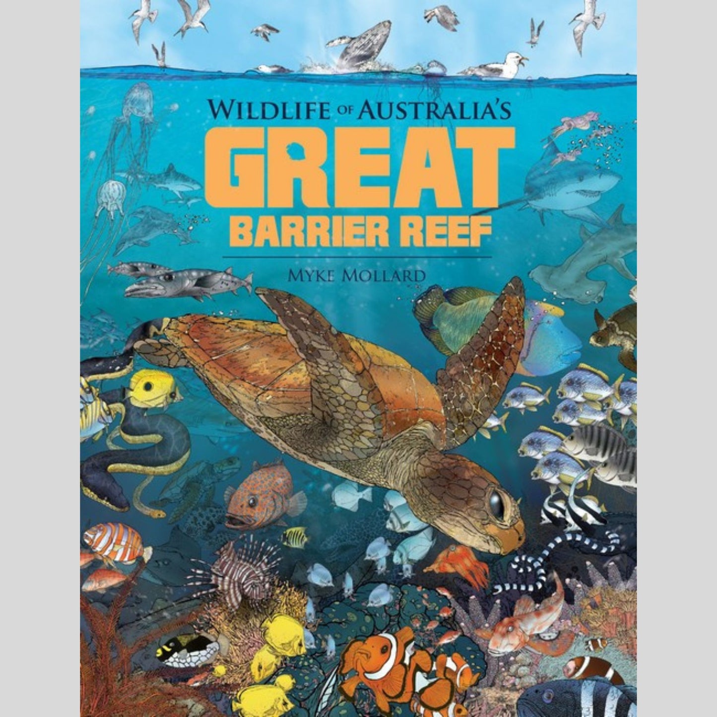 Wildlife of Australia's Great Barrier Reef