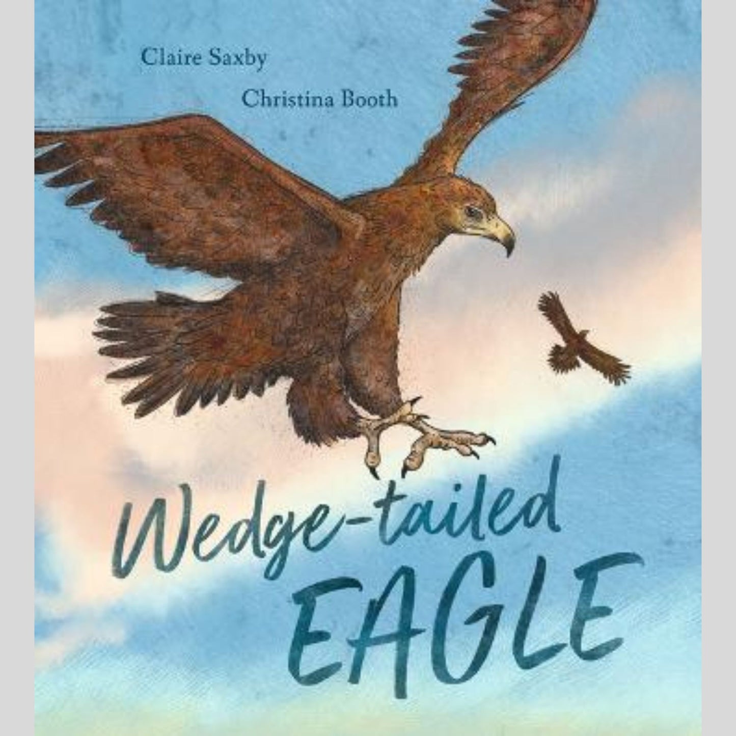 Wedge-tailed Eagle
