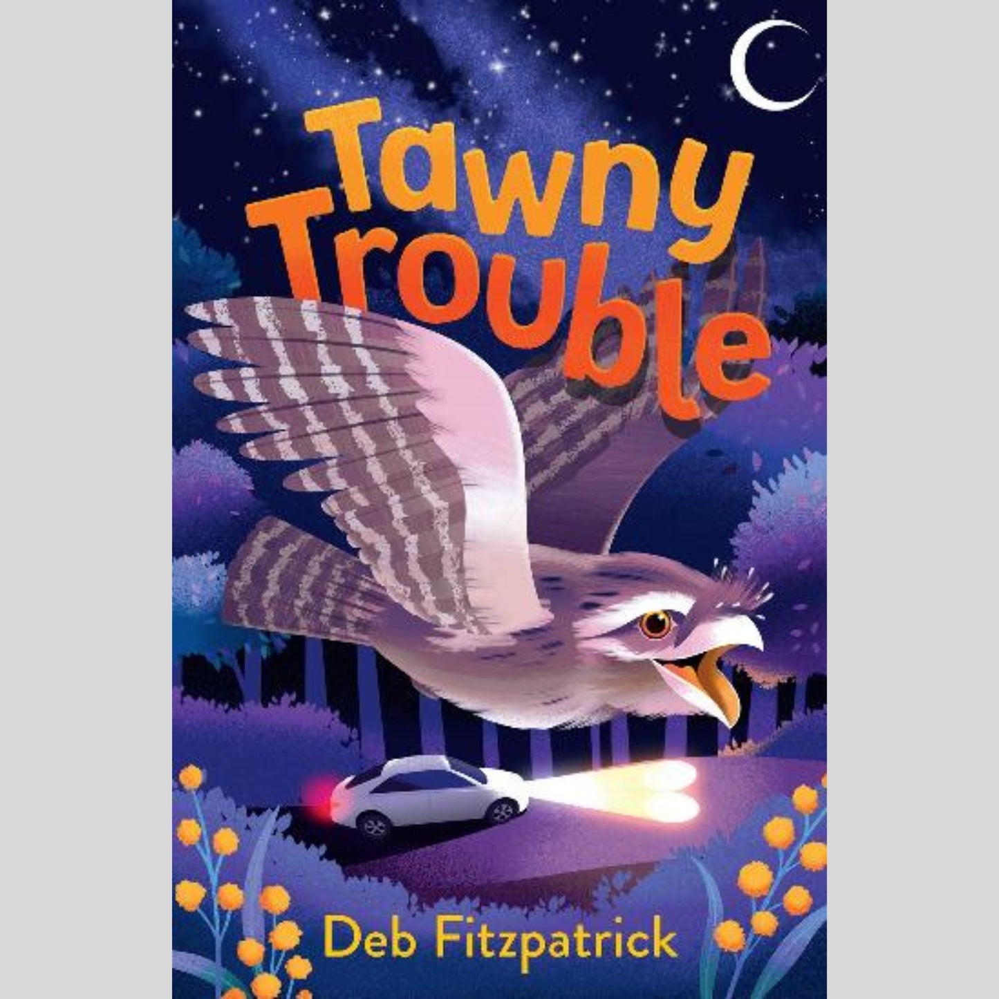 Junior Fiction 6-8 : Tawny Trouble
