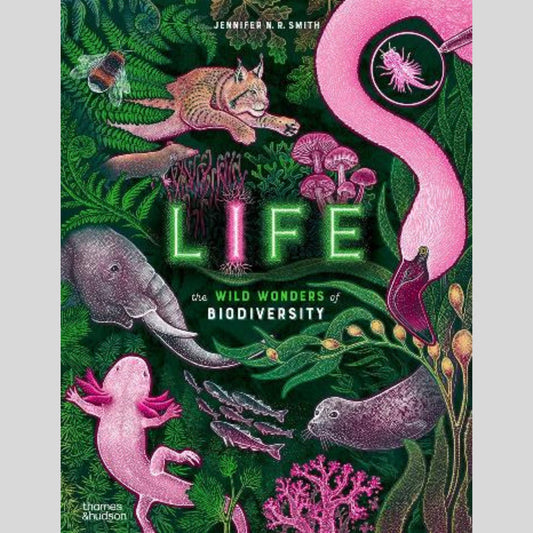 Life - The wild wonders of biodiversity