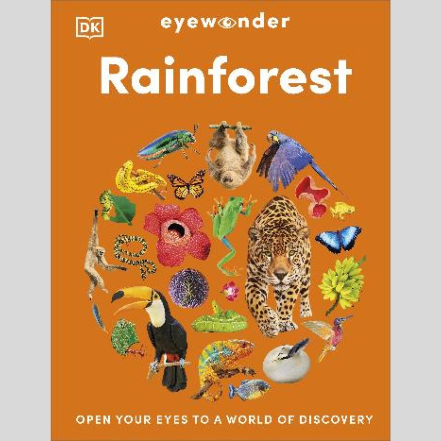 Eyewonder - Rainforest