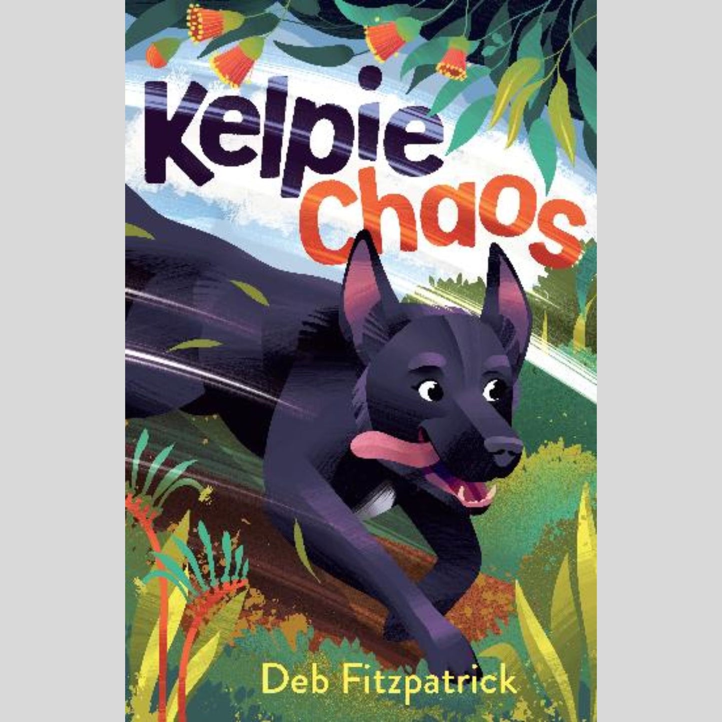 Kelpie Chaos
