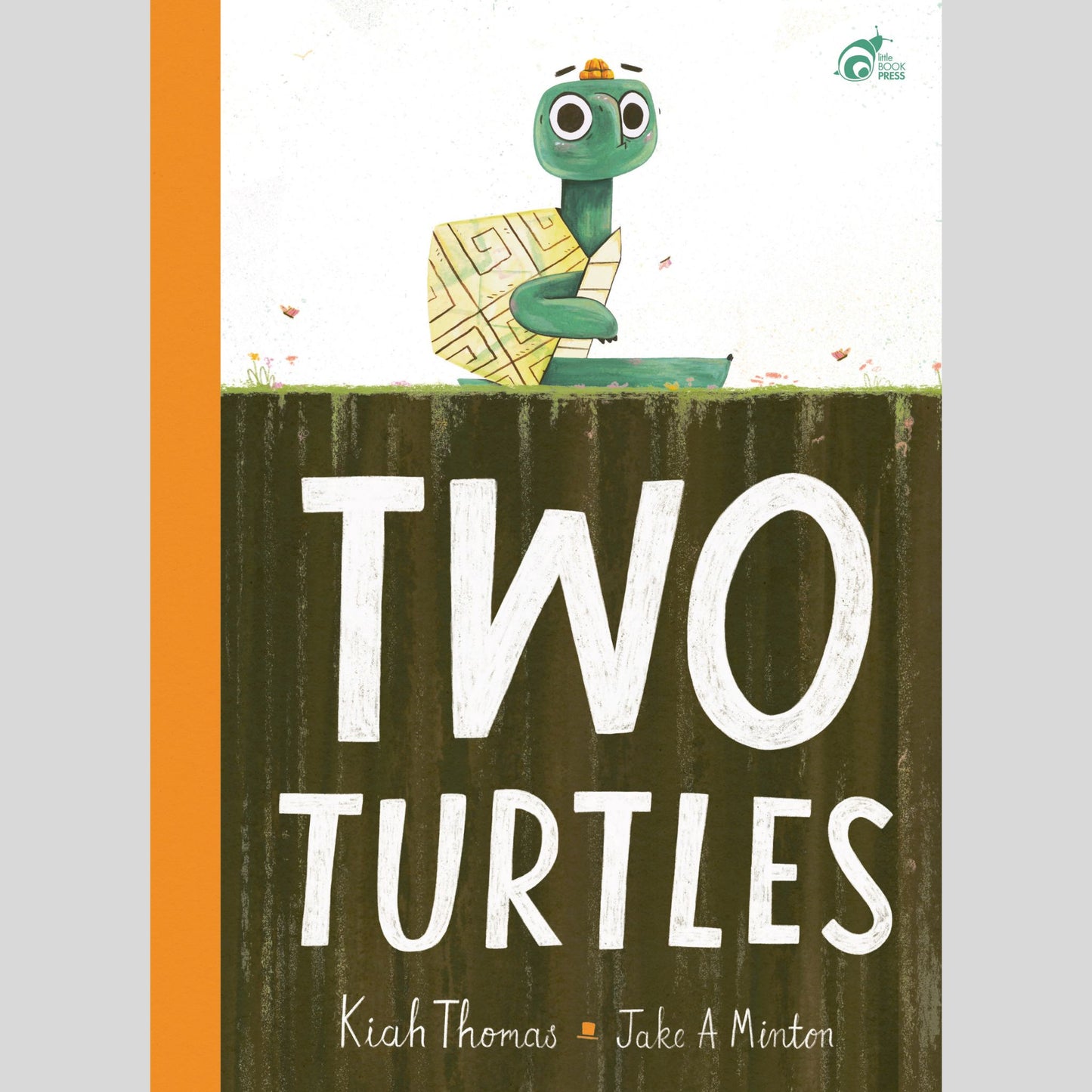 Two Turtles