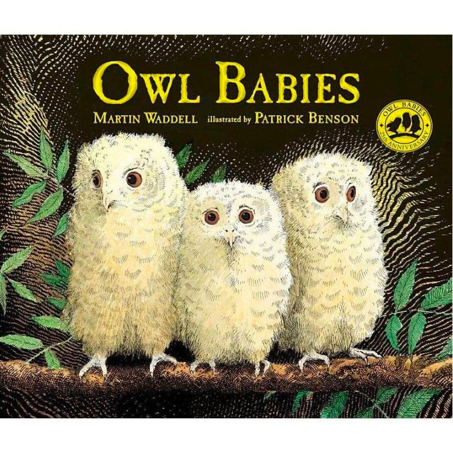 Owl Babies