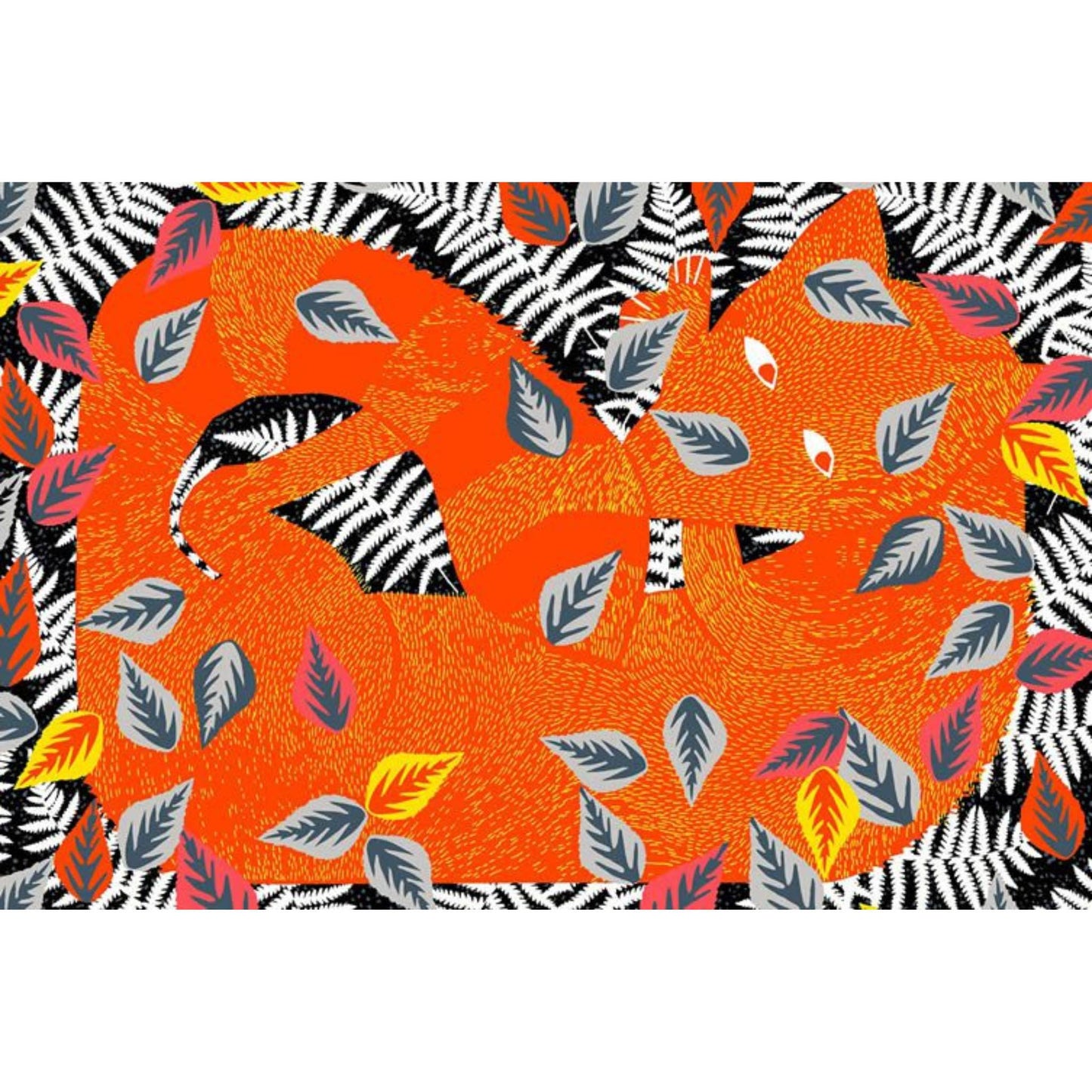 The Fox and the Star