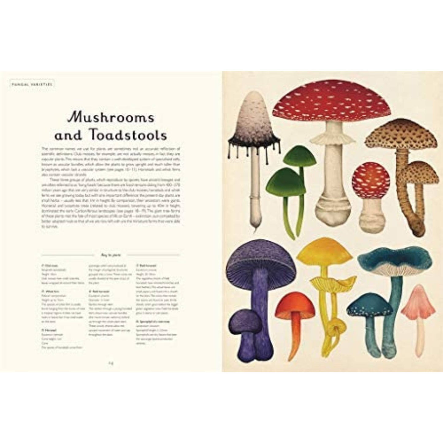 Fungarium
