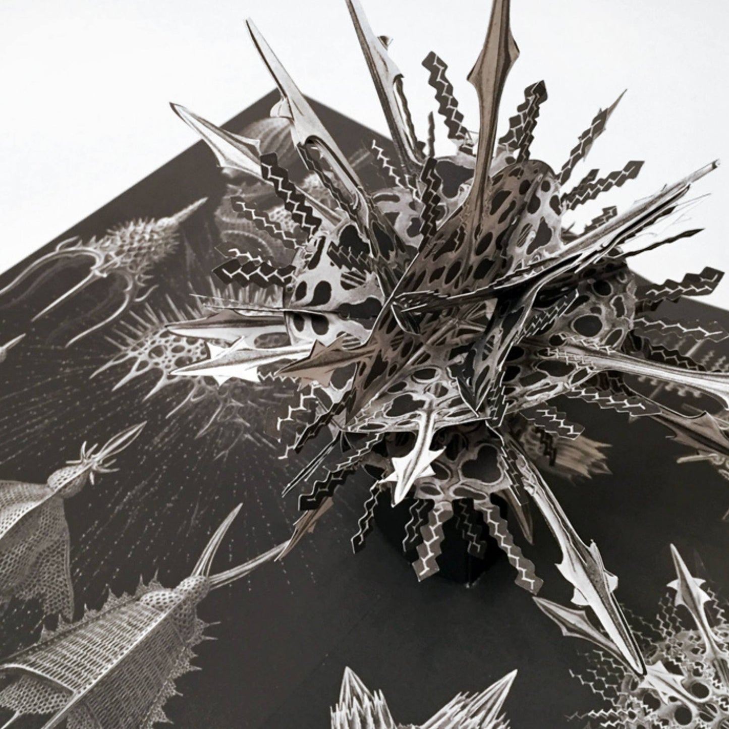 Creatures of the Deep - The Pop-Up Book