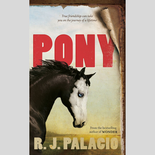 Pony