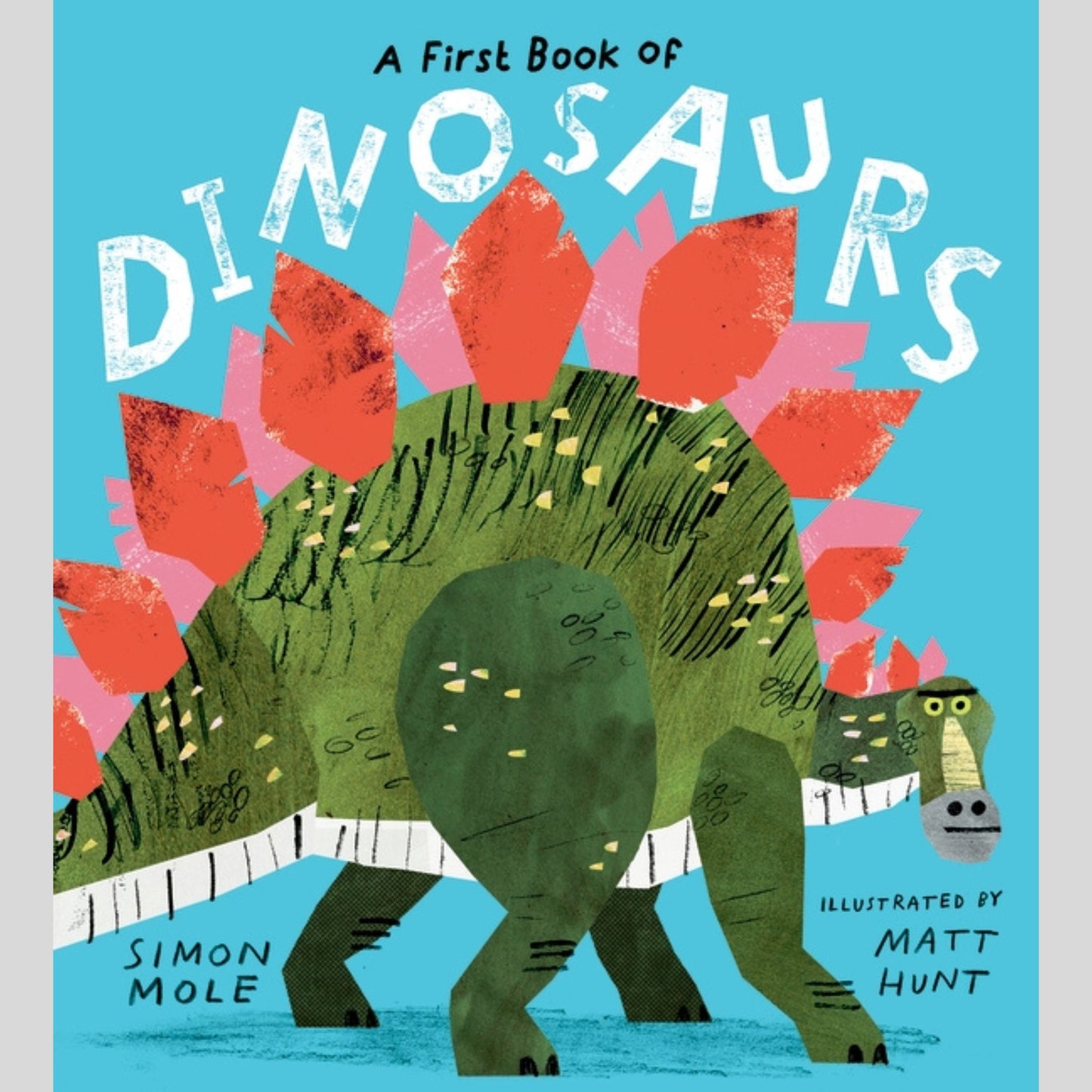 A First Book of Dinosaurs