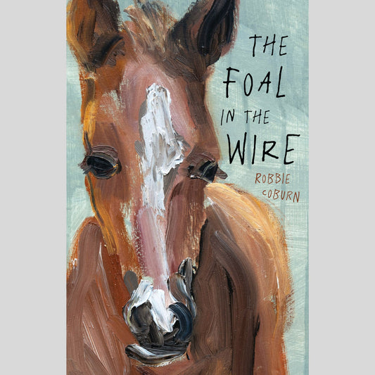 YA 14+ : The Foal in the Wire