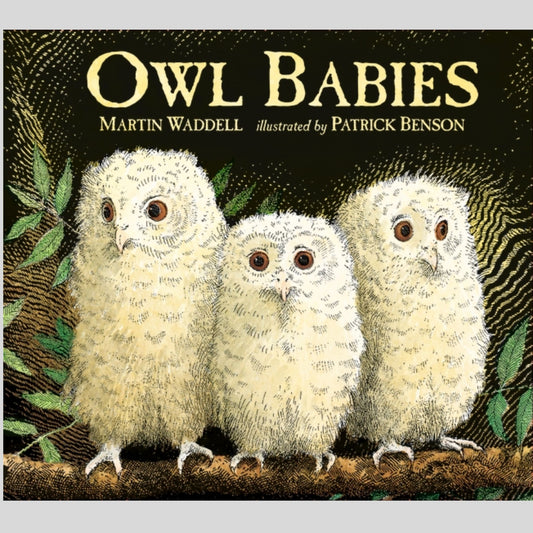 Owl Babies
