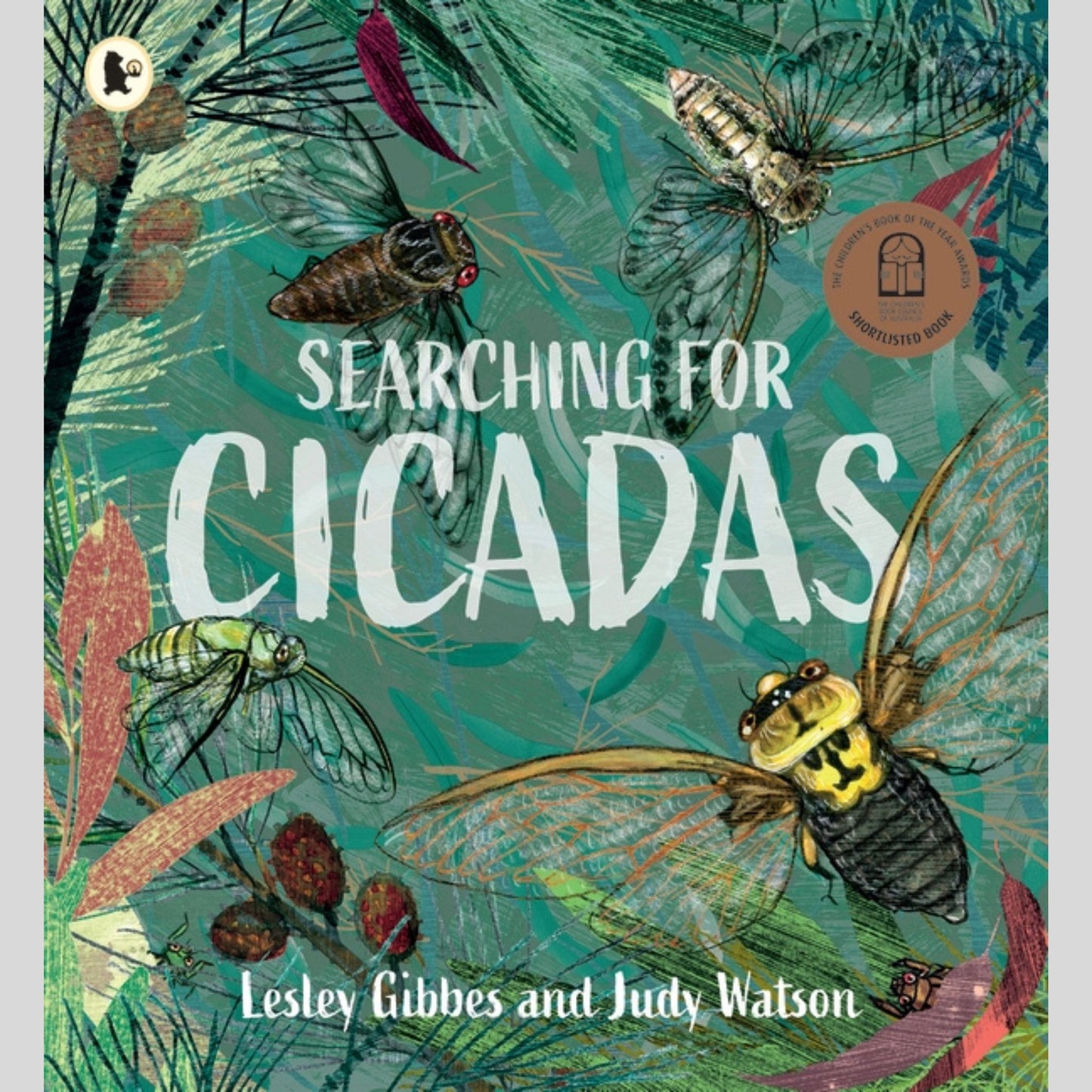 Searching for Cicadas