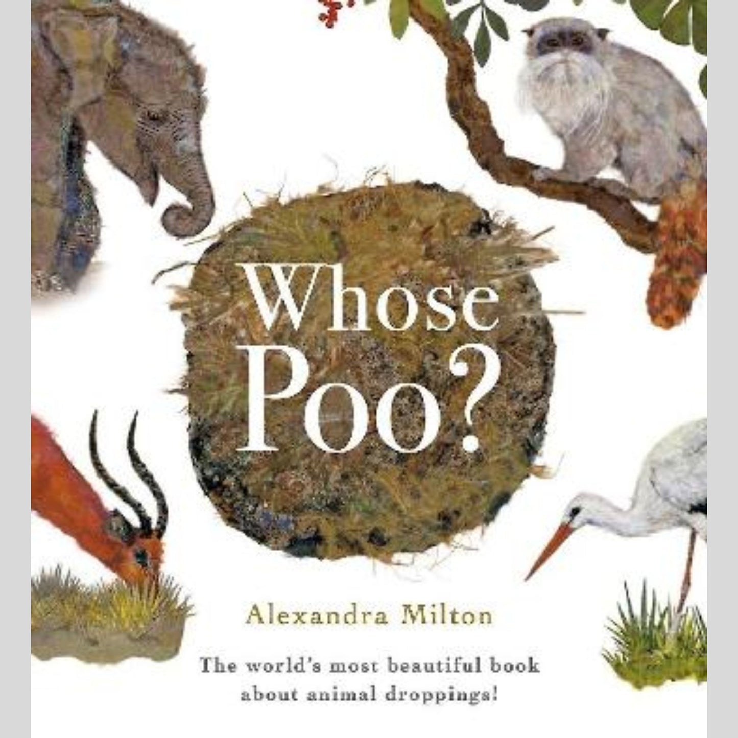 Whose Poo?