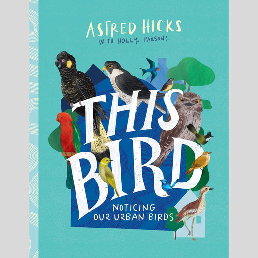This Bird - Noticing Our Urban Birds