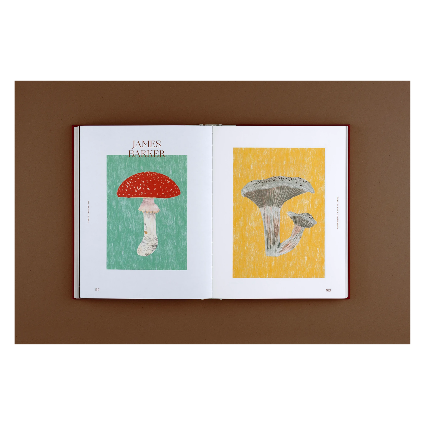 Fungal Inspiration - Art and design inspired by wild nature